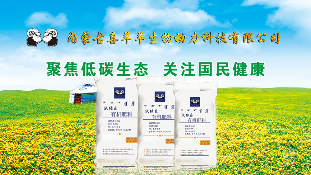 污水處理設(shè)備